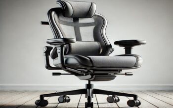 ergonomic office chair for back pain